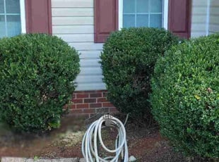 Miguel A.'s lawn care services service result