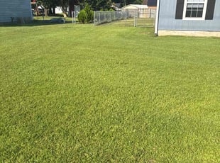 Robert G.'s grass cutting service result