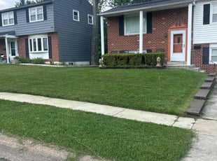 Mark T.'s turf maintenance service result