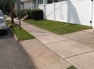 Richard M.'s lawn care services service result