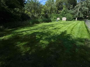 Jill Z.'s lawn service service result