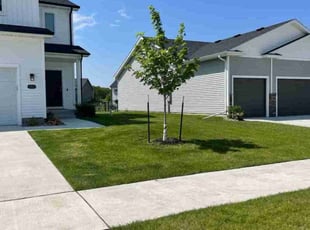 Jeff B.'s landscaping services service result