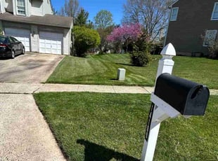 Eric H.'s grass cutting service result