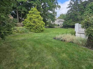 Angela M.'s lawn maintenance service result