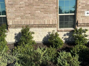 Dyanna N.'s Mulching service result