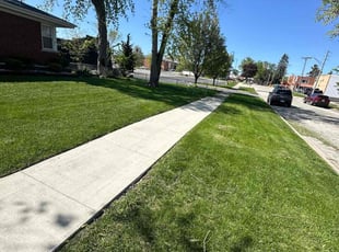 Christina B.'s turf maintenance service result