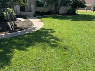 Amber W.'s lawn care services service result