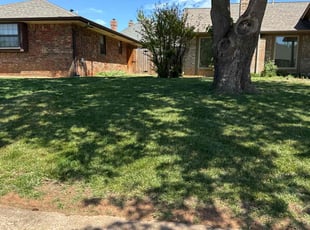 Sean M.'s grass cutting service result