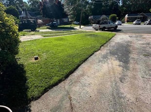 Juan Jose M.'s grass cutting service result