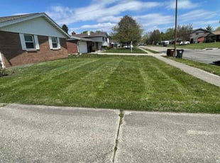 Weston S.'s lawn care service result