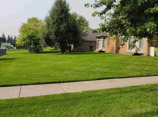 Andres S.'s lawn care service result