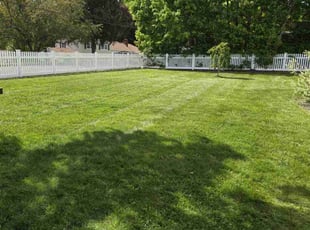 John D.'s lawn service service result