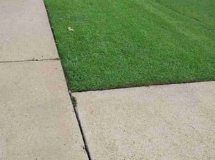 Leslie W.'s grass maintenance service result