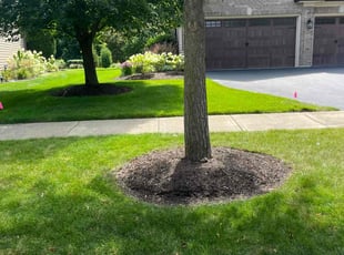Neil W.'s lawn care services service result