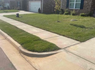 Dalina C.'s lawn care service result