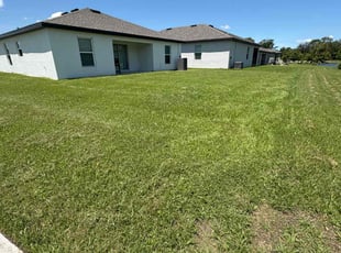 Liz D.'s lawn care service result