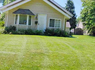 Alberto H.'s grass maintenance service result