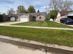 Alexis R.'s grass maintenance service result