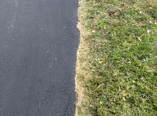 Dianedsy V.'s lawn maintenance service result