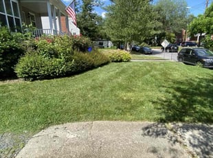 Will H.'s turf maintenance service result