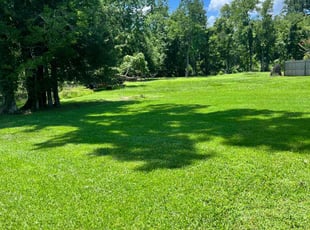 Tarsha A.'s lawn care services service result