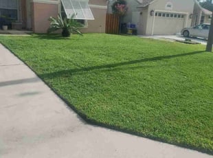 Robert R.'s grass maintenance service result