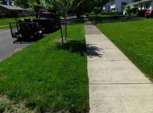 Lee H.'s yard maintenance service result