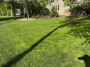 Chalida J.'s grass cutting service result