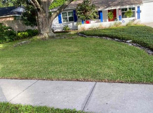 Carol W.'s lawn service service result
