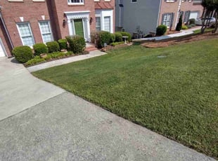 Janette G.'s lawn care services service result
