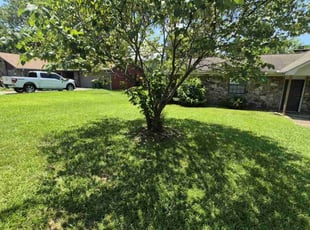 Sally Z.'s turf maintenance service result