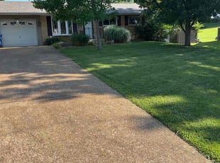 Wayne E.'s turf maintenance service result