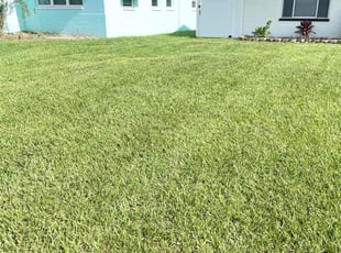 Joy R.'s grass cutting service result
