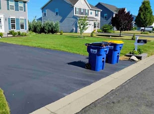 Dan S.'s residential landscaping service result