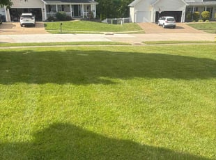 Valerie B.'s grass maintenance service result