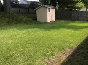 Helen M.'s lawn maintenance service result