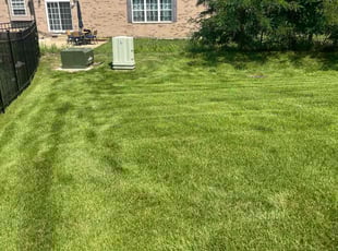 Kassidy A.'s landscape maintenance service result