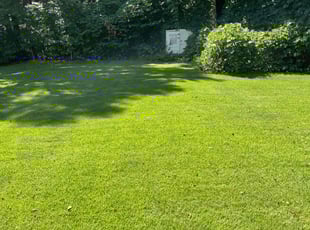 John B.'s lawn care services service result