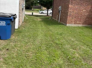 Darrius T.'s grass cutting service result
