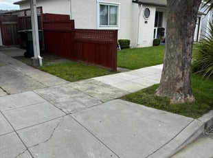 Georgeann F.'s grass maintenance service result