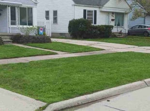 Ronald W.'s turf maintenance service result