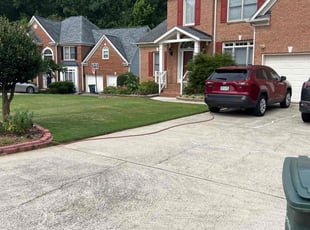 Lisa N.'s lawn care service result