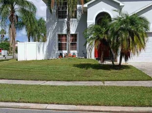 Anthony M.'s yard maintenance service result