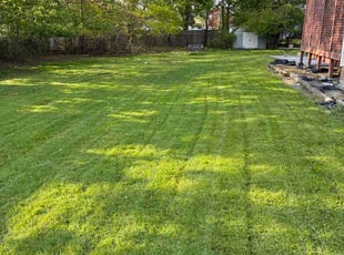 Blake S.'s grass cutting service result