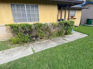 Laurie C.'s Bush Trimming service result