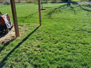 Lee M.'s landscape maintenance service result