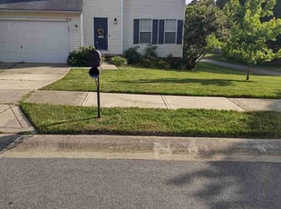 Patrick Z.'s grass cutting service result