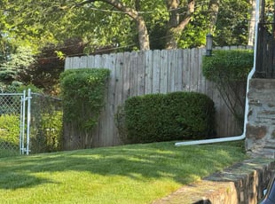 Camisha B.'s lawn service service result