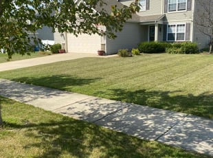 Michael A.'s lawn service service result