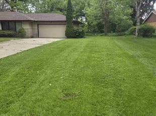 Judy A.'s grass maintenance service result